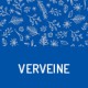 Organic verbena from Provence