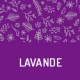 Organic lavender from Provence