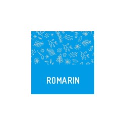 Bio Rosmarin aus Frankreich